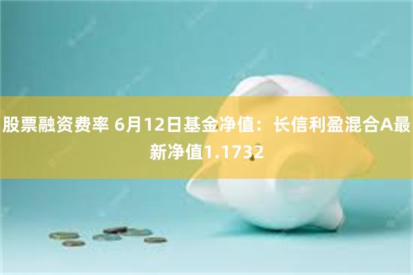 股票融资费率 6月12日基金净值：长信利盈混合A最新净值1.1732