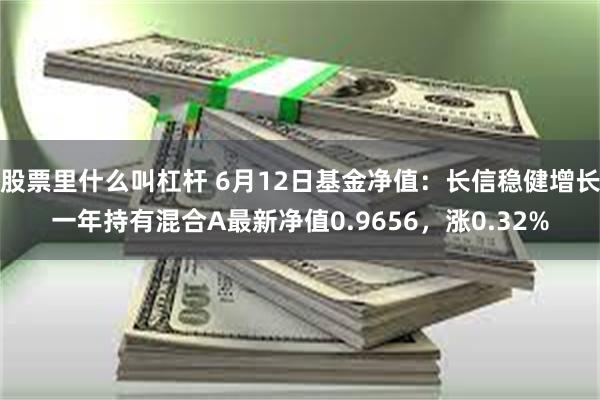 股票里什么叫杠杆 6月12日基金净值：长信稳健增长一年持有混合A最新净值0.9656，涨0.32%