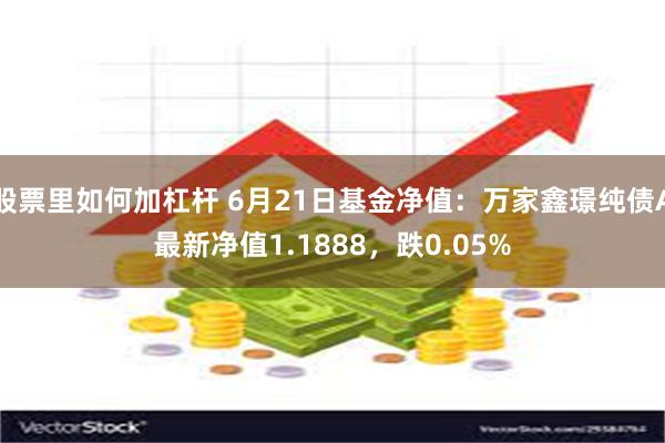 股票里如何加杠杆 6月21日基金净值：万家鑫璟纯债A最新净值1.1888，跌0.05%