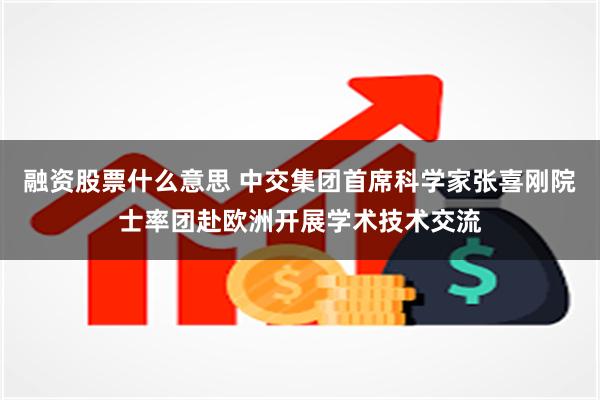 融资股票什么意思 中交集团首席科学家张喜刚院士率团赴欧洲开展学术技术交流