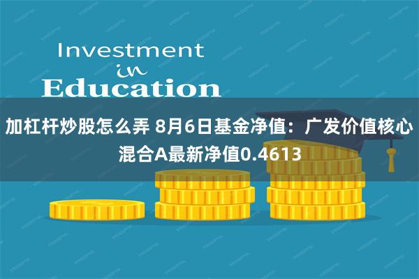 加杠杆炒股怎么弄 8月6日基金净值：广发价值核心混合A最新净值0.4613