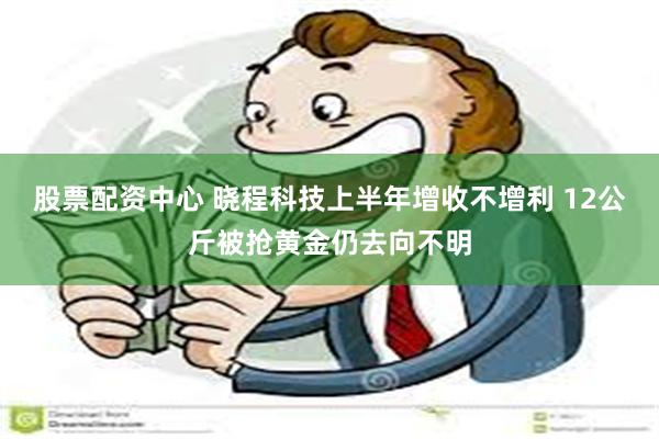 股票配资中心 晓程科技上半年增收不增利 12公斤被抢黄金仍去向不明