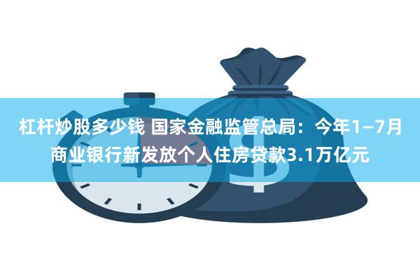 杠杆炒股多少钱 国家金融监管总局：今年1—7月商业银行新发放个人住房贷款3.1万亿元