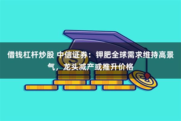 借钱杠杆炒股 中信证券：钾肥全球需求维持高景气，龙头减产或推升价格