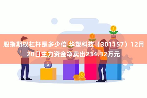 股指期权杠杆是多少倍 华塑科技（301157）12月20日主力资金净卖出234.32万元