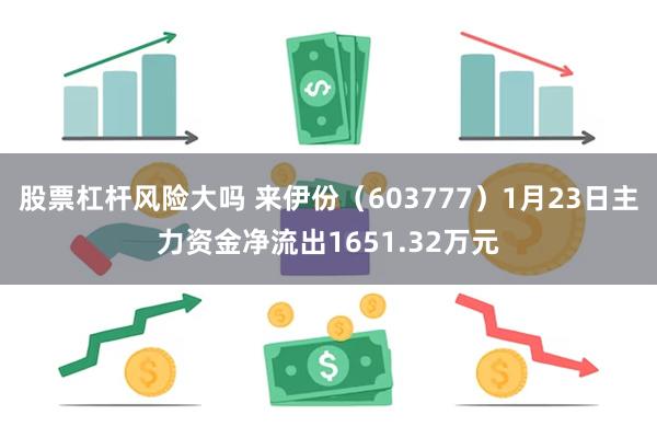 股票杠杆风险大吗 来伊份（603777）1月23日主力资金净流出1651.32万元