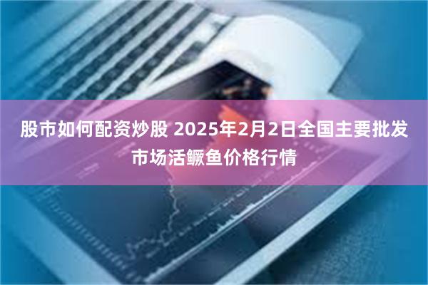 股市如何配资炒股 2025年2月2日全国主要批发市场活鳜鱼价格行情