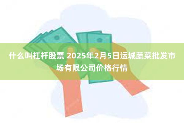 什么叫杠杆股票 2025年2月5日运城蔬菜批发市场有限公司价格行情