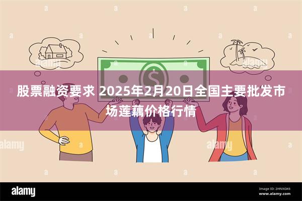 股票融资要求 2025年2月20日全国主要批发市场莲藕价格行情