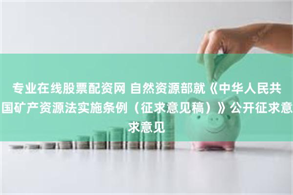 专业在线股票配资网 自然资源部就《中华人民共和国矿产资源法实施条例（征求意见稿）》公开征求意见